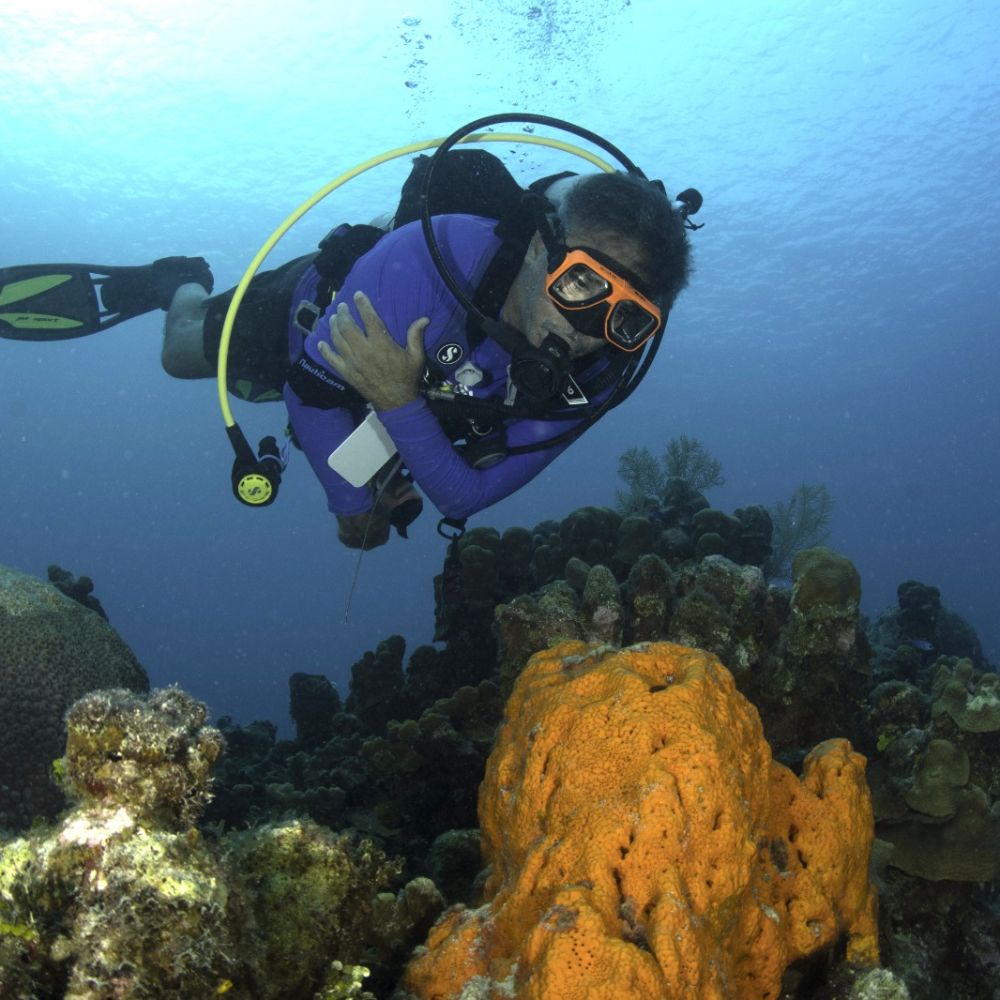 cruise-ship-GALLERY IMAGE 2