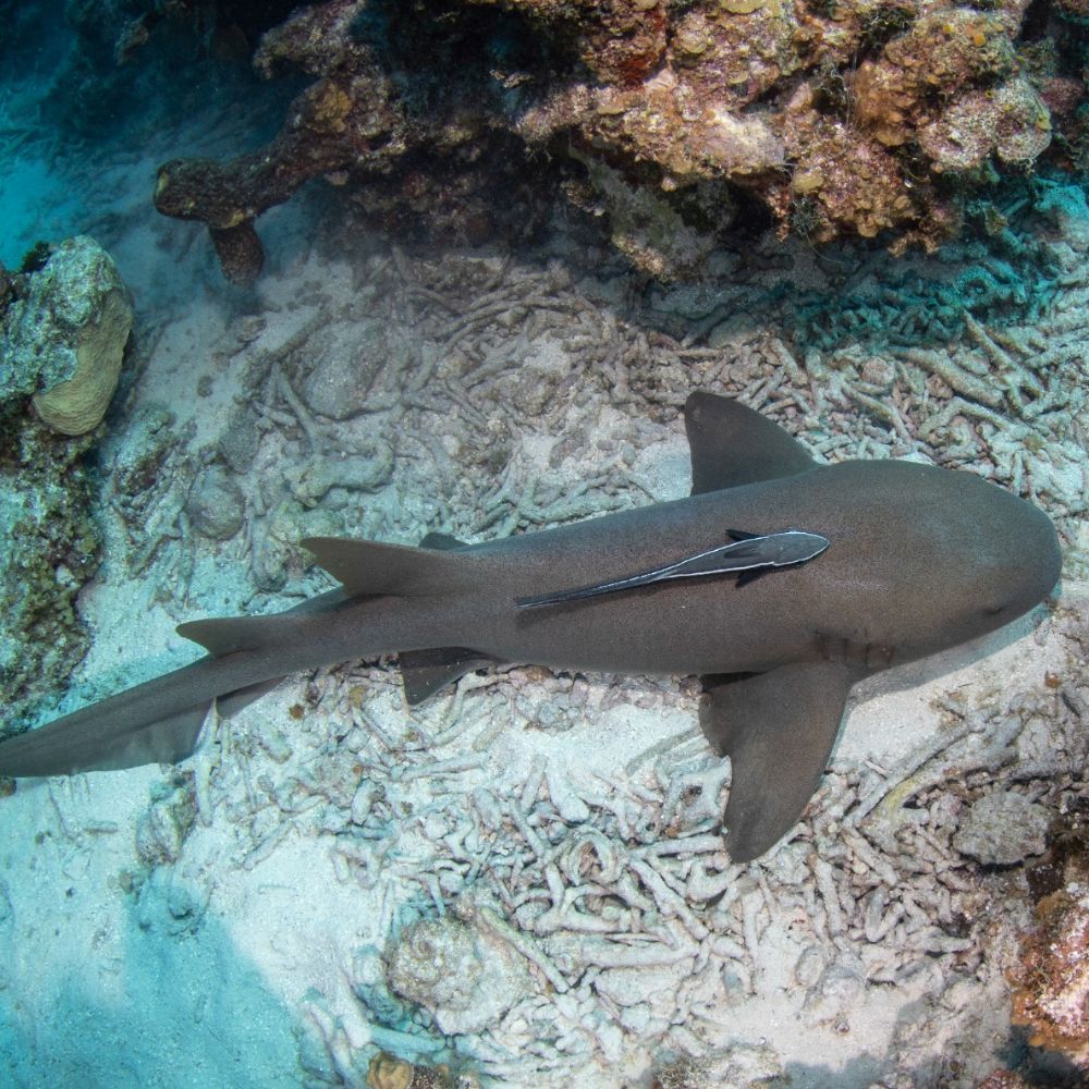 cruise-ship-GALLERY IMAGE 3