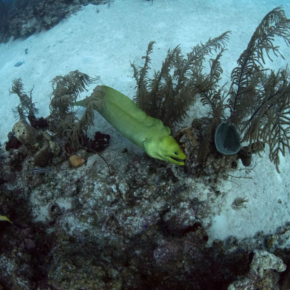 cruise-ship-GALLERY IMAGE 4