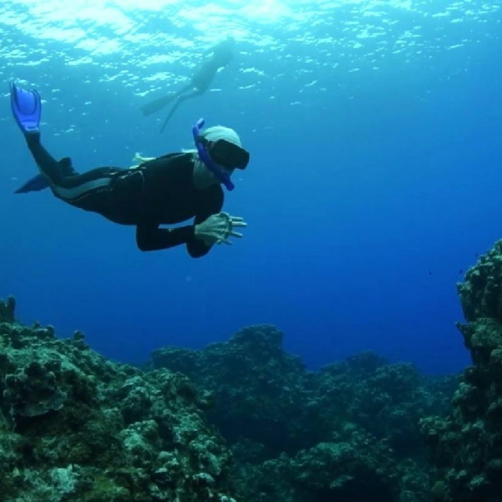 advanced-snorkeling-gallery image 1