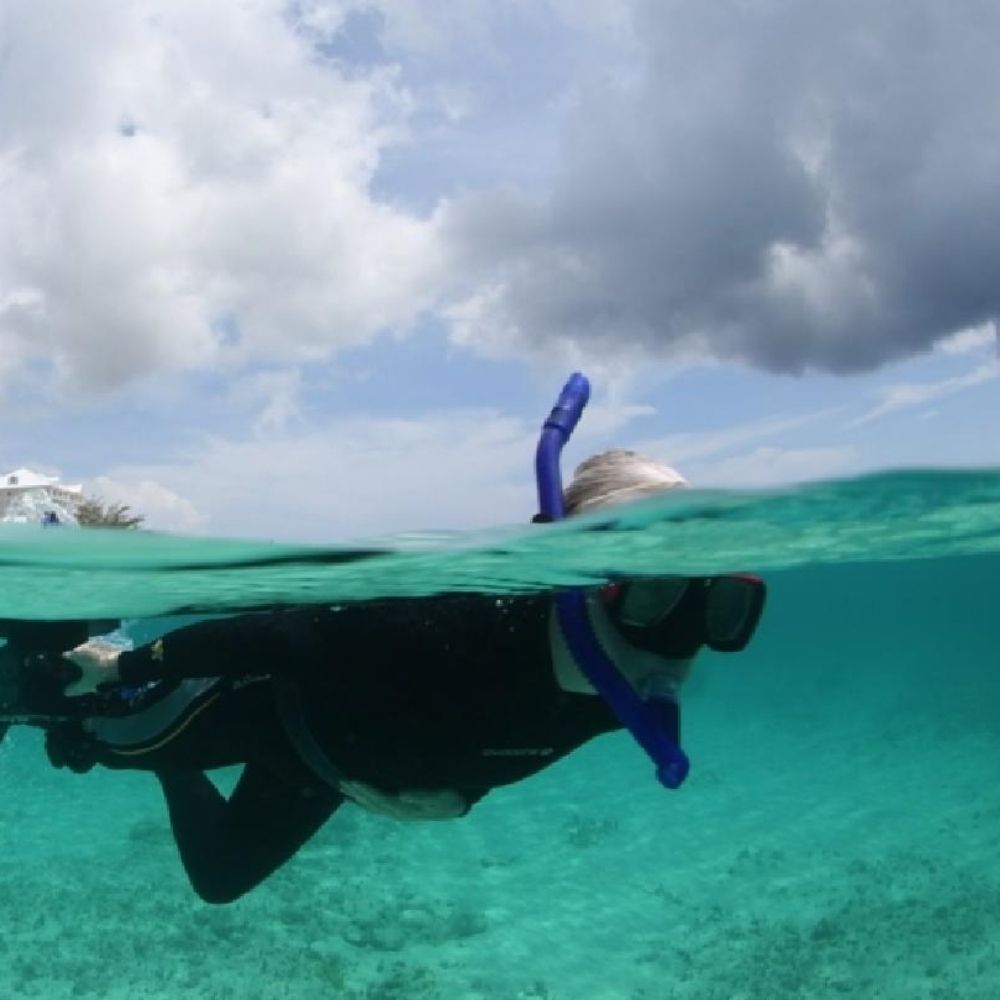 advanced-snorkeling-gallery image 2