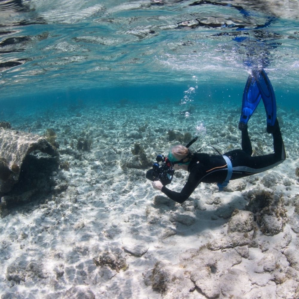 advanced-snorkeling-gallery image 4