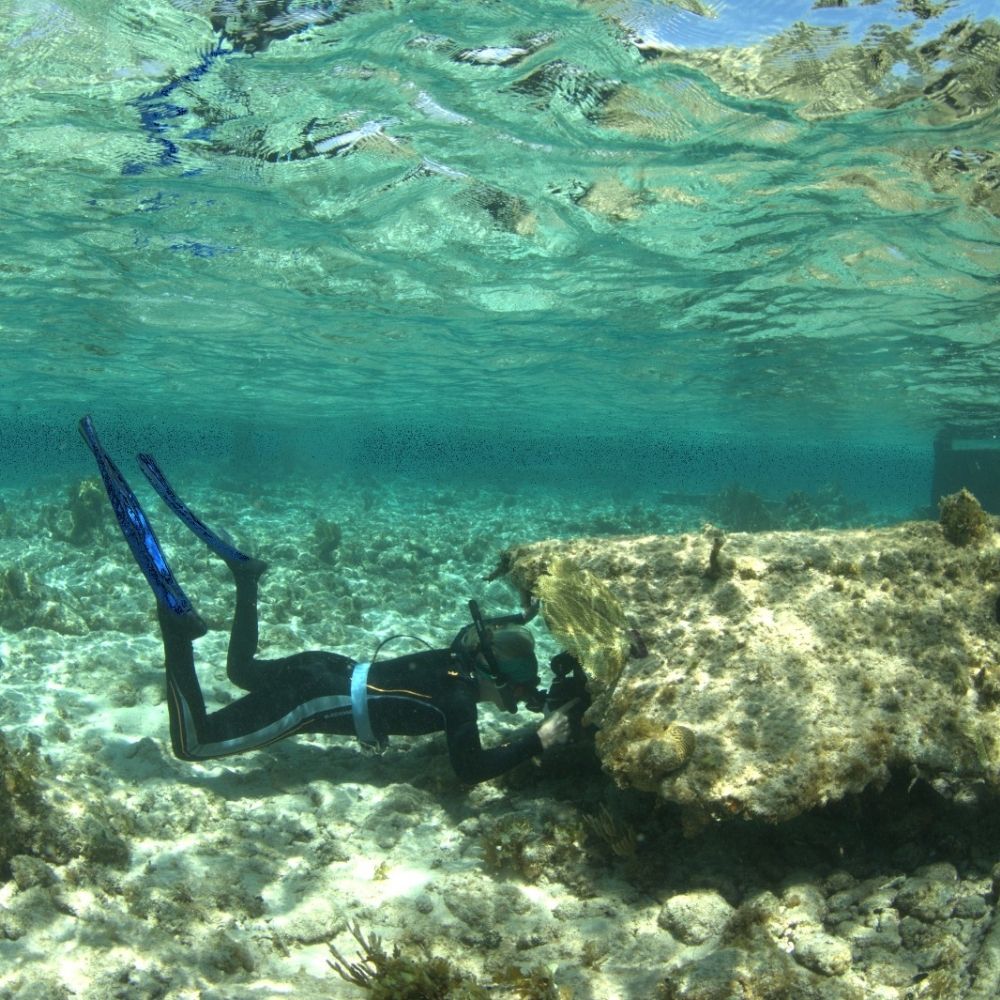 advanced-snorkeling-gallery image 6